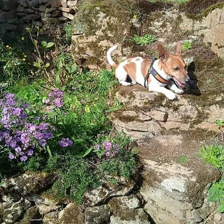 Ty Gwenn La Veritable Bretagne Plesidy Exterior photo